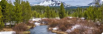 Peaceful mountain stream winds through snow-dusted forest with towering peaks in the background at Lionshead Village.